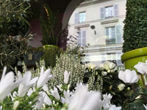 boutique de fleurs